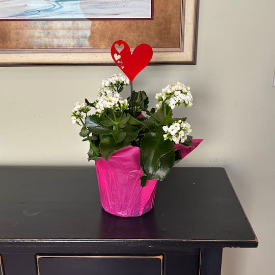 Worth Imports 14" Red & Black Iron Heart with Heart Cut Outs Garden Stake